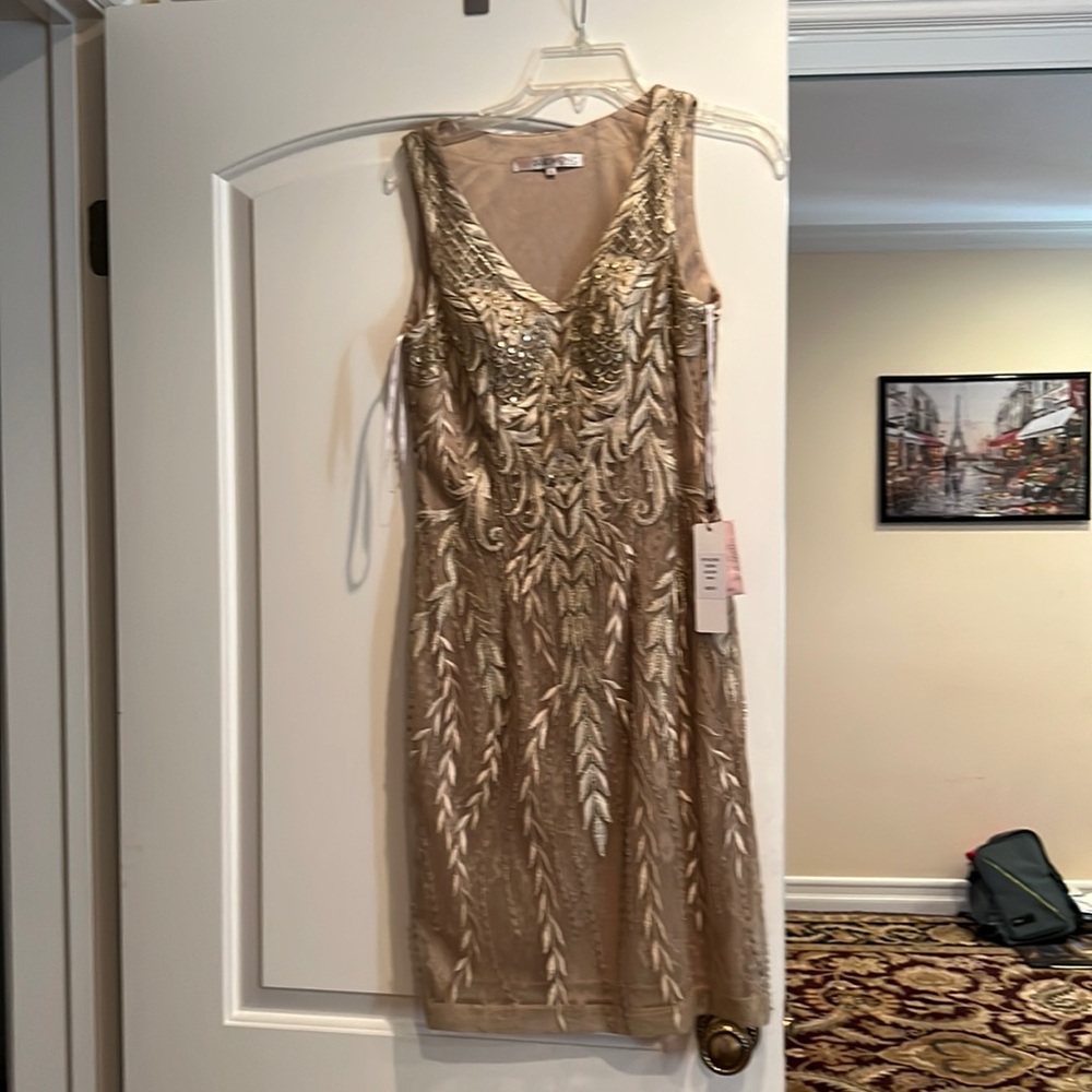 Beautiful new beaded beige evening dress, size 6 by sue wong